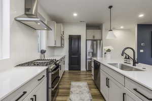 Kitchen with appliances with stainless steel finishes, hanging light fixtures, white cabinets, ventilation hood, and sink