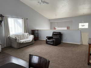 Living room with high vaulted ceiling, dark hardwood / wood-style flooring, and a textured ceiling