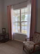 Living area with carpet floors