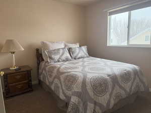 Bedroom featuring dark colored carpet