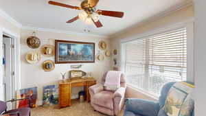 Living area with ceiling fan, ornamental molding, light carpet, and a wealth of natural light