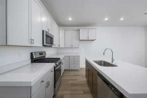 Kitchen featuring wood finished floors, an island with sink, a sink, light countertops, and appliances with stainless steel finishes