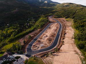 Birds eye view of property featuring a mountain view