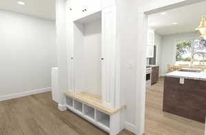 Mudroom with sink and wood-type flooring