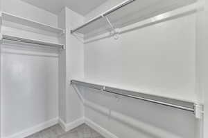 Spacious closet featuring light carpet