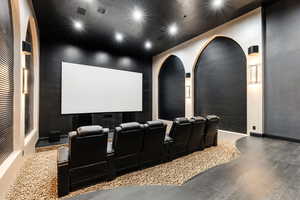 Cinema room featuring wood-type flooring