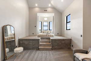 Bathroom featuring vaulted ceiling and a wealth of natural light