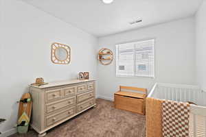 Carpeted bedroom with a nursery area