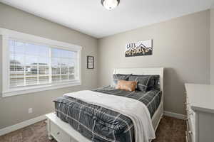 Bedroom with dark colored carpet