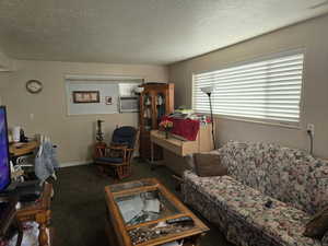 Unit 2 Living room with dark carpet and a textured ceiling