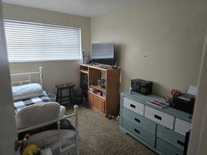 Unit 3 View of carpeted bedroom