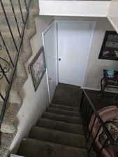 Unit 2 Stairs with carpet