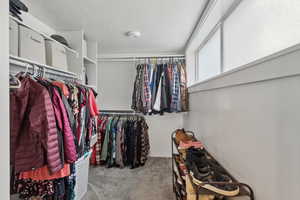 Walk in closet with light colored carpet