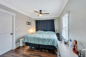 Bedroom with ceiling fan, crown molding, and dark hardwood / wood-style floors