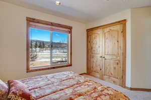 Carpeted bedroom featuring a mountain view