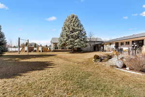 Imagine this beautiful yard all green when winter is over!