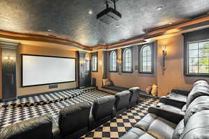 Carpeted cinema featuring a raised ceiling, a wealth of natural light, and a textured ceiling