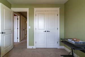 Interior space featuring a closet and light colored carpet