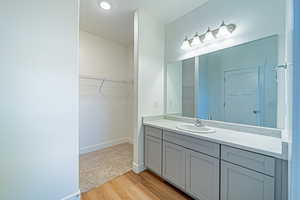 Bathroom featuring baseboards, vanity, wood finished floors, and a spacious closet