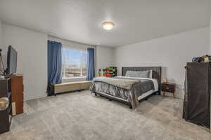 Carpeted bedroom featuring a textured ceiling