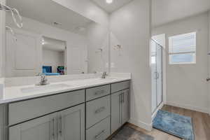 Bathroom with hardwood / wood-style floors, vanity, and walk in shower