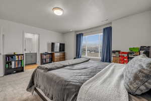 Carpeted bedroom featuring a textured ceiling and sink