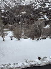 View of snowy yard