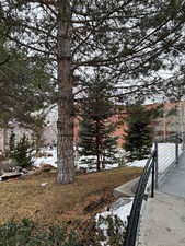 View of snowy yard