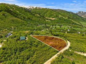 Aerial view with a mountain view