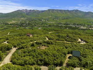 Drone / aerial view featuring a mountain view