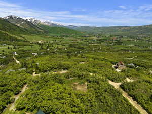 Birds eye view of property featuring a mountain view