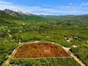 Bird's eye view featuring a mountain view