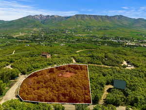 Aerial view featuring a mountain view