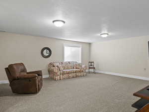 Basement bedroom 2, also big enough to be a living area.