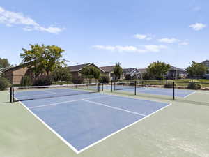 Pickleball Court