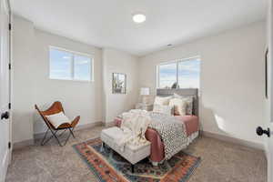 Carpeted bedroom featuring multiple windows