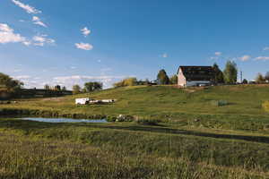 View of the pond, stream and house.