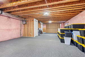 Basement featuring carpet floors