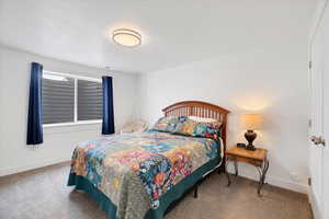 Bedroom featuring baseboards and carpet flooring