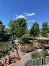 View of yard featuring a patio