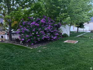 View of yard featuring fence