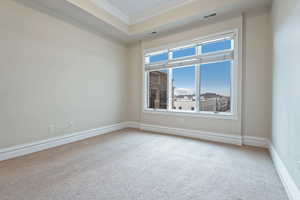 Unfurnished room with baseboards, visible vents, ornamental molding, and carpet flooring