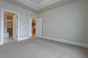 Unfurnished bedroom with light colored carpet, crown molding, a spacious closet, and baseboards