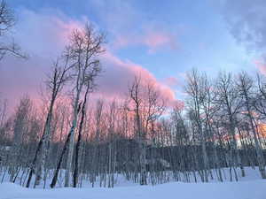 View of snow covered land