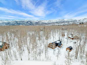 Snowy aerial view featuring a mountain view