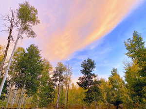 View of nature at dusk