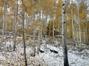 View of snowy landscape