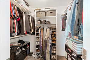 Spacious closet with carpet flooring