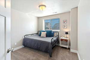 Carpeted bedroom featuring visible vents, baseboards, and a textured ceiling