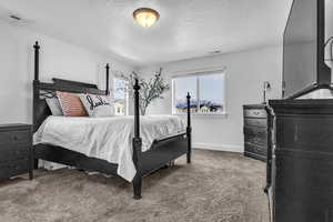 Carpeted bedroom featuring visible vents, a textured ceiling, and baseboards